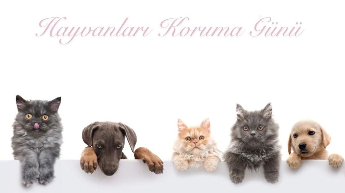 4 EKİM HAYVANLARI KORUMA GÜNÜ'NDE ÖĞRENCİLERİMİZ